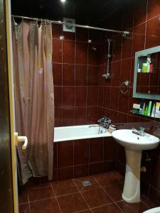 Ένα μπάνιο στο Apartament Roman