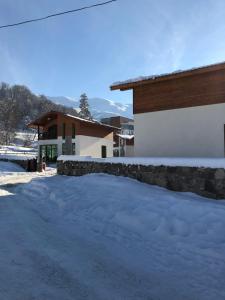 Cottage in Bakuriani under vintern