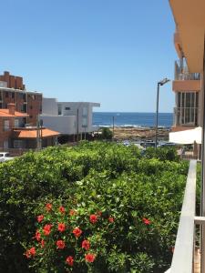 a view of the ocean from a balcony with flowers at Edificio Club del Mar in Punta del Este