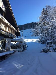 Ferienwohnung Alpenfreude om vinteren