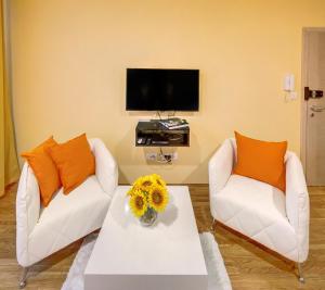 TV a/nebo společenská místnost v ubytování Apartments Postic