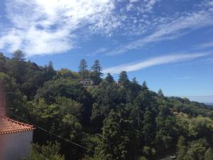 a house on top of a hill with trees at Casas do Pátio Sem Cantigas 4 in Sintra