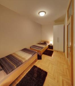 Postel nebo postele na pokoji v ubytování Apartments Postic