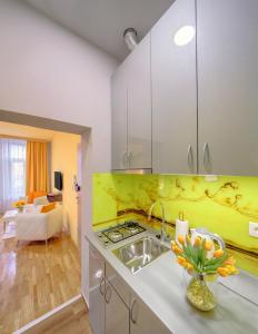 Kuchyň nebo kuchyňský kout v ubytování Apartments Postic