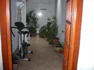 a hallway with potted plants and a treadmill at Kitty Apartman in Miskolctapolca