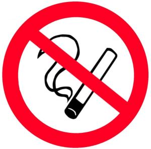卡齐米日-多尔尼温诺斯酒店的相册照片