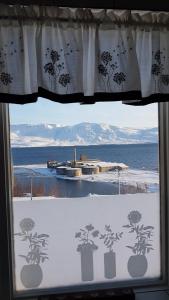 uma vista para uma janela com árvores em The Viking Country Club em Hjalteyri