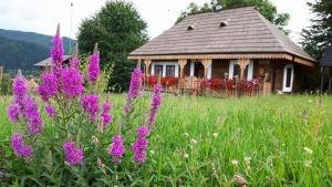 un campo de flores púrpuras delante de una casa en Pension La Roata en Gura Humorului