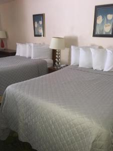 Voodi või voodid majutusasutuse Anchor Motel toas