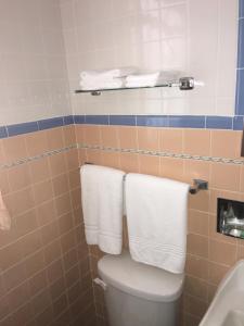 
a white toilet sitting next to a bath tub at Anchor Motel in Niagara Falls
