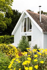 a white house with yellow flowers in front of it at Squirrel in Southwold