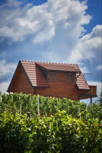 Galeriebild der Unterkunft KUĆA ZA ODMOR LUCIJA in Čazma