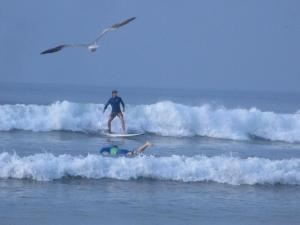 Un uomo e un cane su una tavola da surf nell'oceano di Maneesha Guest House a Weligama