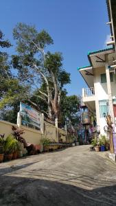 a street in a town with a tree and buildings at Dr. House in Khao Kho