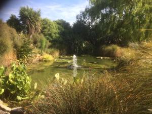 a small pond with a fountain in a garden at The Meadows Villa in Christchurch