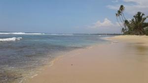 a beach with the ocean and palm trees on it at Arogya Resort in Ambalangoda