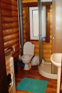 ヴェルホヴィナにあるSadyba Kazkove Dzhereloのバスルーム(トイレ、洗面台付)