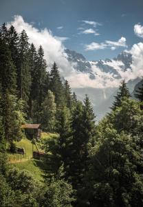 a scenic view of a park with trees and mountains at Hotel Edelweiss in Wengen