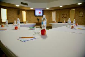 a table with a bottle of water and an apple on it at 175 Hotel Westmead in Sydney