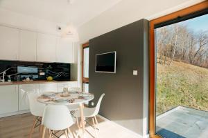 Kuchyňa alebo kuchynka v ubytovaní Apartamenty Willowa