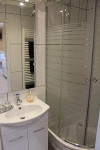 y baño con lavabo y ducha acristalada. en Tanja's B&B, en Maastricht