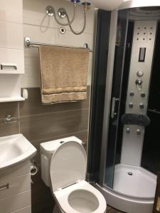 Apartment Lazic vila Suri في كوباونيك: حمام صغير مع مرحاض ودش +14 صورة