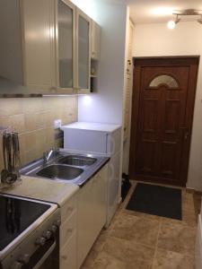 Apartment Lazic vila Suri في كوباونيك: مطبخ مع حوض وباب خشبي