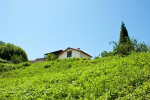 Gallery image of La Panera del Carbain in Soto del Barco +15 photos