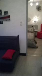 ルションにあるStudio douillet tout confortのリビングルーム(赤い枕と黒いソファ付)