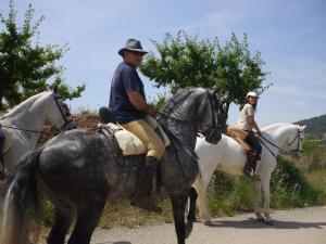 two people riding on horses on a road at Apartamento el Benicadell in Adzaneta de Albaida