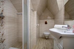 a bathroom with a shower and a sink and a toilet at Pokoje gościnne "U Prusa" in Murzasichle +36 photos