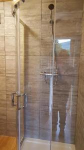 a shower with a glass door in a bathroom at Clunebeg Lodge in Drumnadrochit