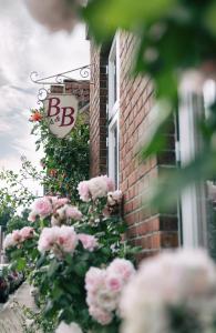 a bunch of pink roses in front of a brick building at LOFTvorSYLT in Friedrichstadt