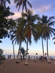 un grupo de palmeras en una playa en Perla del Caribe, en Santa Marta