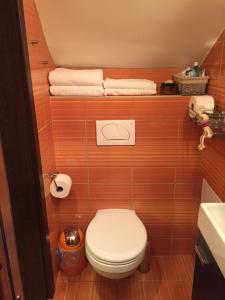 Kúpeľňa v ubytovaní Vml Premium Apartman