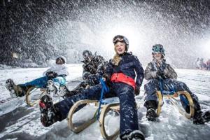 Hostia v ubytovaní Chalet Auszeit