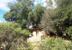 uma pequena casa de pedra no meio das árvores em Cabaña de Adobe en Lago Rapel em Lago Rapel