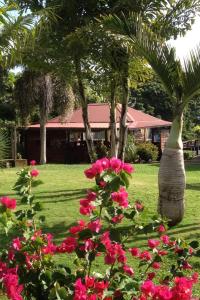 Gallery image of Le bungalow des bougainvilliers in Ducos