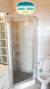 a shower stall in a bathroom with a toilet at Garsoniera Miru Miru in Mamaia Sat/Năvodari