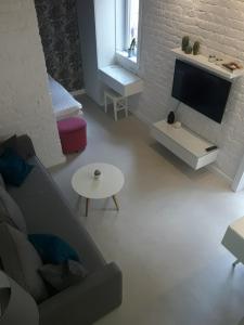 Momo Apartment في بلغراد: غرفة معيشة مع أريكة وتلفزيون