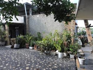 a bunch of potted plants in front of a building at AeroHostel 418 in Rio de Janeiro