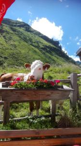 Zdjęcie z galerii obiektu Moisesgut w mieście Bad Hofgastein