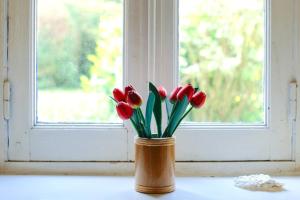 a vase of red tulips sitting on a window sill at Archipelago Hostel Old Town in Stockholm