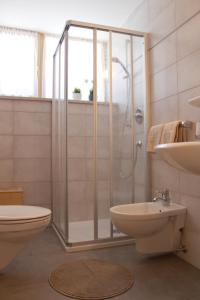 La salle de bains est pourvue d'une douche, de toilettes et d'un lavabo. dans l'établissement Haus Waldruhe, à San Candido