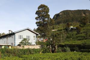 a house on a hill with a tree in a field at Pedro View Homestay in Nuwara Eliya