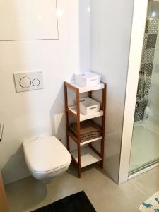 La salle de bains est pourvue d'une douche et de toilettes. dans l'établissement Apartmán 2+kk, à Dolní Morava