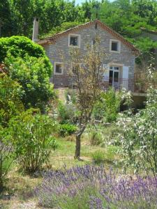 a stone house in the middle of a garden at l'Oulibo in Villeneuve-les-Corbières