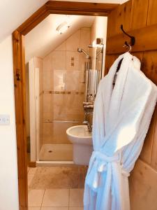 uma casa de banho com um chuveiro, um WC e um lavatório. em The Celyn em Pont Newydd