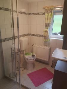 a bathroom with a toilet and a sink at Ferienhaus Schaffrath in Hohnstein