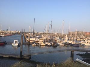 a bunch of boats are docked in a marina at Chalet Jade in IJmuiden